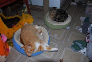 Read more about the article resting in the morning!