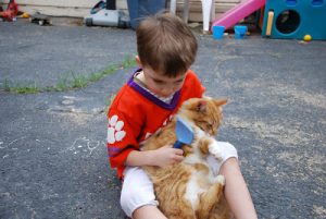 Read more about the article Brushing Garfield