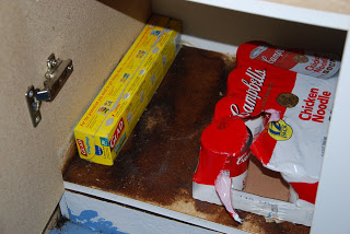 You are currently viewing Mold & House update!