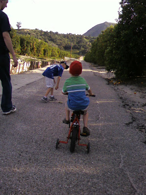 You are currently viewing Walking