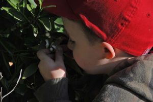 Read more about the article walking