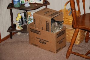 Read more about the article 4th photo tag~