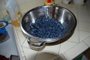 Read more about the article Homemade Blueberry Pie!