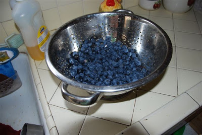 You are currently viewing Homemade Blueberry Pie!