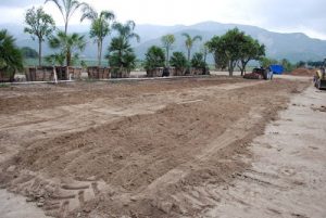 Read more about the article Start of our garden!