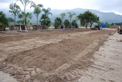 Read more about the article Start of our garden!