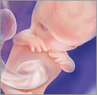 You are currently viewing 10 weeks today!