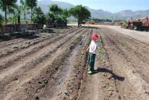 Read more about the article Poppin’ Up!