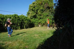 Read more about the article front yard baseball