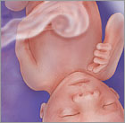 Read more about the article 15 weeks today!!!