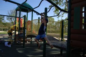 Read more about the article Park