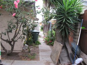 Read more about the article You can see….