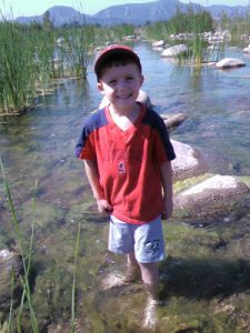 Read more about the article 