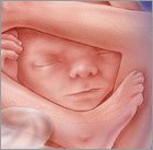 Read more about the article 19 weeks today!!! We have a tomatoe!! :)