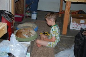 Read more about the article Cats are here!