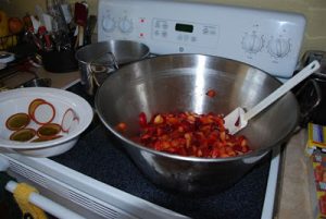 Read more about the article Making of Plum Jam