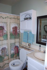 Read more about the article Hall Bath… Outhouse themed!