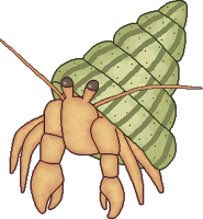 Read more about the article Summer