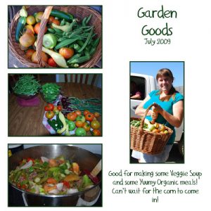 Read more about the article Garden FRESH!!