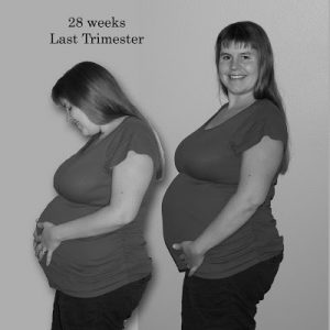 Read more about the article Starting the THIRD Trimester! (28 weeks)