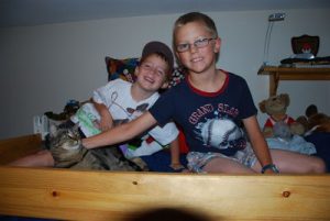 Read more about the article Honeysuckle