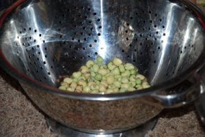 Read more about the article Garden fresh!