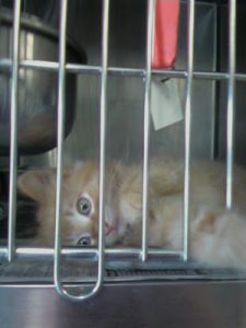 Read more about the article Coming Home soon!