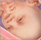 Read more about the article 31 weeks!