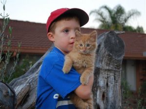 Read more about the article Butterscotch