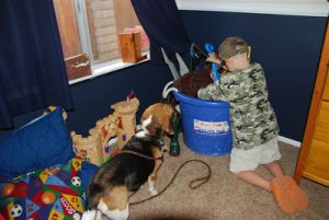 Read more about the article Dog Walker!