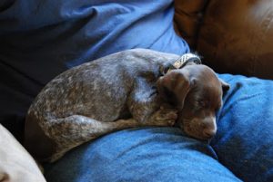 Read more about the article Visit