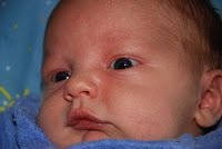 Read more about the article A note from the Mommy……