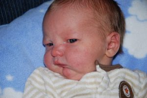 Read more about the article 