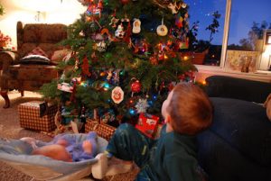 Read more about the article 