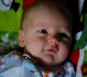 Read more about the article Our little CHUBS