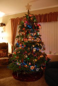 Read more about the article Decorated!