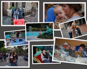 Read more about the article a few more….