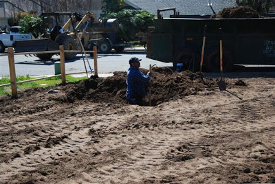 You are currently viewing yard progress