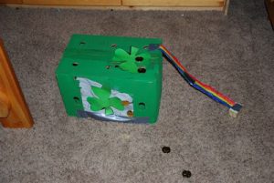 Read more about the article The boys hoping to catch a leprachaun