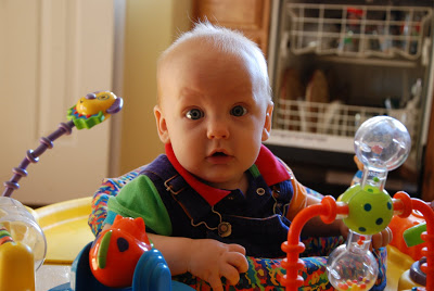 You are currently viewing Sweet Baby Luke