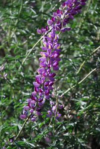 Read more about the article Take a breath and enjoy God’s creation