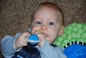 Read more about the article Chewing and droolin!