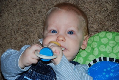 You are currently viewing Chewing and droolin!