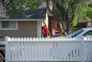 Read more about the article Cousins at play