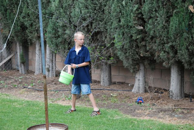 You are currently viewing Egg hunt