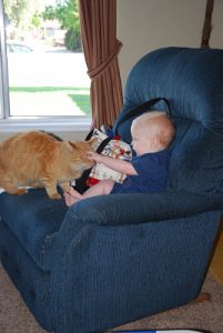 Read more about the article Luke and Butterscotch