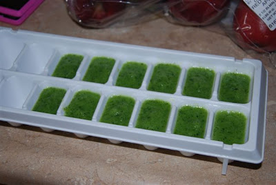 You are currently viewing Homemade baby food, YUM!