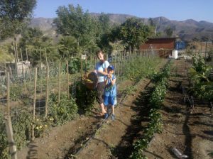 Read more about the article Garden Fresh