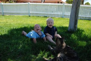 Read more about the article Snips, snails and puppy dog tails