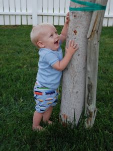 Read more about the article Luke Samuel 9 month check up